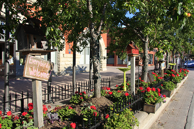 Shannon Towers | 535 Tenth Street, Collingwood, ON L9Y 4K6, Canada | Phone: (705) 444-6512