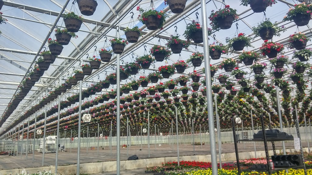 Darvonda Nurseries Ltd | 4707 49 St, Mundare, AB T0B 3H0, Canada | Phone: (587) 921-7555