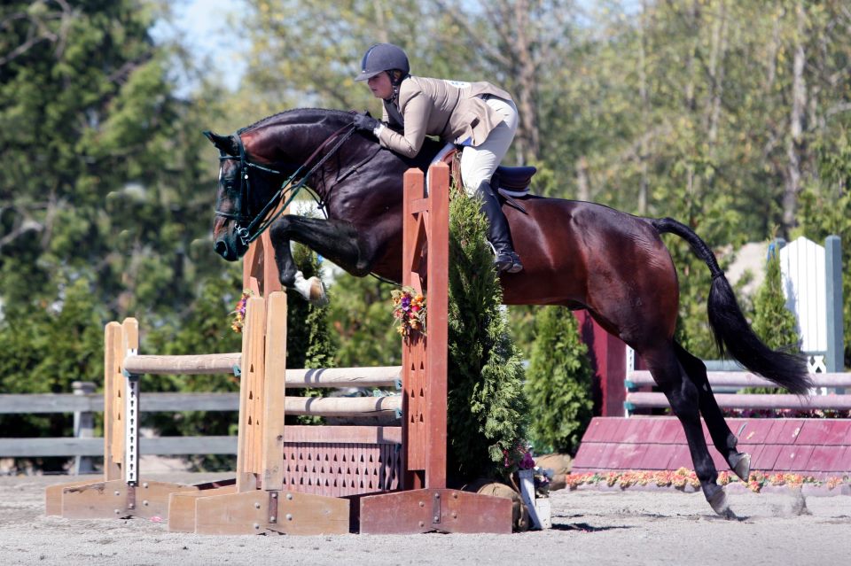 Country Lane Farm | 3951 33a Ave, Delta, BC V4K 3N2, Canada | Phone: (604) 880-8687
