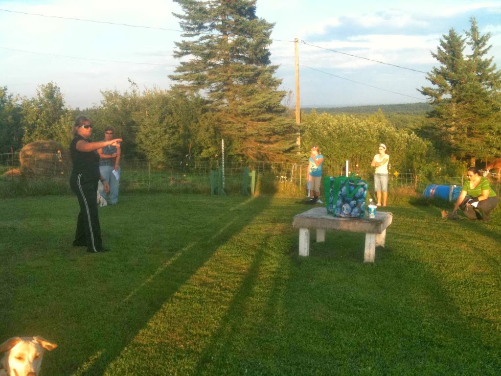 Darr Houssen Dog Boarding Facilities | 863 Indian Mountain Rd, Indian Mountain, NB E1G 3M9, Canada | Phone: (506) 872-4764