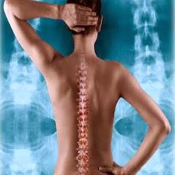 Noad Chiropractic Clinic | 42 Churchill Crescent, St Thomas, ON N5R 1N9, Canada | Phone: (519) 633-6623