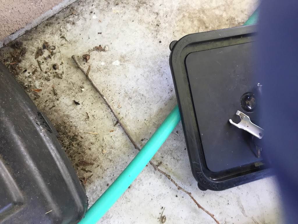 Ideal Pest Control | 12474 78 Ave, Surrey, BC V3W 8K1, Canada | Phone: (778) 891-9215