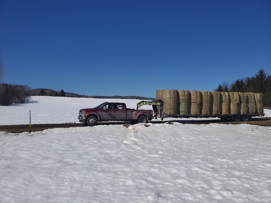 Transport jkm Inc | 2671 Mnt Major, Terrebonne, QC J7M 1E3, Canada | Phone: (514) 619-0688