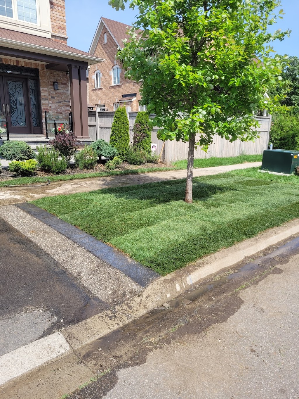 GREENER LAND | 40 Brookview Rd, Brampton, ON L6X 2V9, Canada | Phone: (647) 766-9906