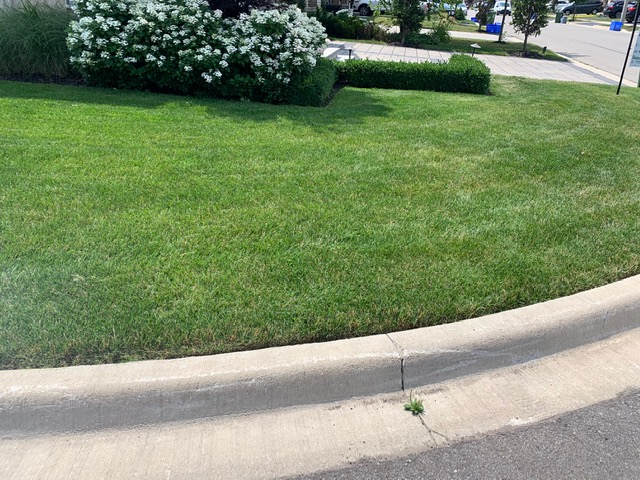 Black Diamond Lawn Care & Landscaping | 30 Brantford St, Brantford, ON N3S 0G2, Canada | Phone: (289) 933-2621