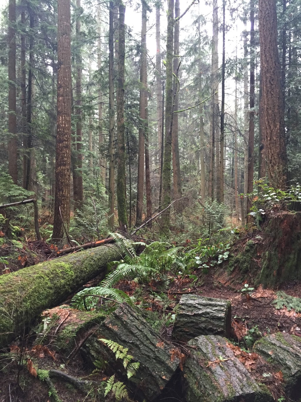 Riverview Forest | Coquitlam, BC V3C 5W7, Canada | Phone: (604) 927-3000