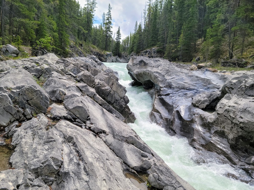 Kootenay Plains Ecological Reserve | Clearwater County, AB, Canada | Phone: (403) 845-8349