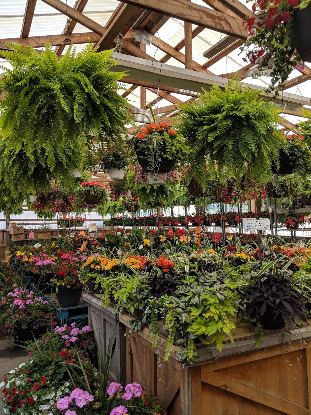 Rock Garden Farms | 16930 Airport Rd, Caledon East, ON L7C 2X1, Canada | Phone: (905) 584-9461