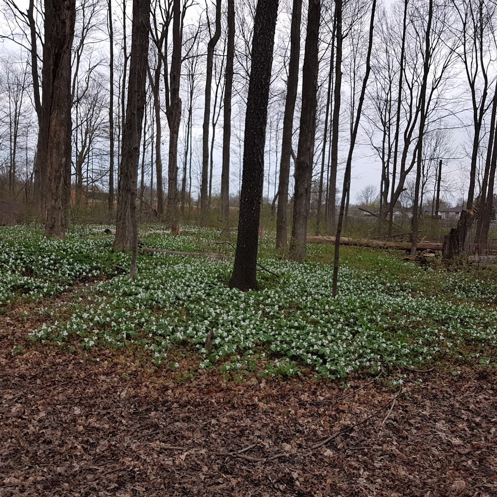 Forest View Park | 323 Hudson Dr, London, ON N5V 1E4, Canada | Phone: (519) 661-2489