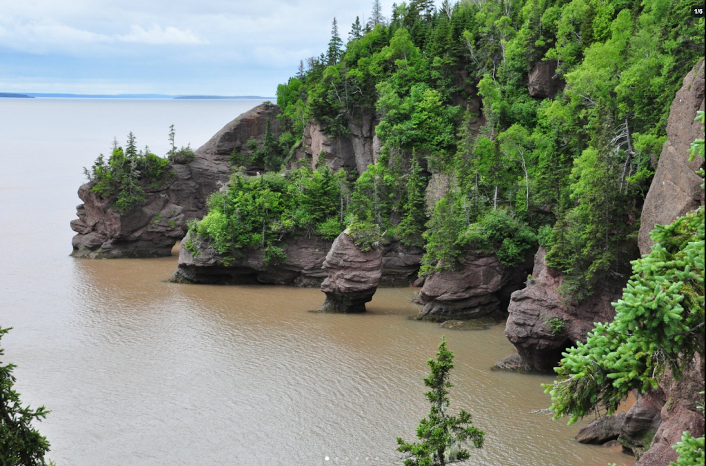 Hopewell Rocks Park | 131ch, Discovery Rd, Hopewell Cape, NB E4H 4Z5, Canada | Phone: (877) 734-3429