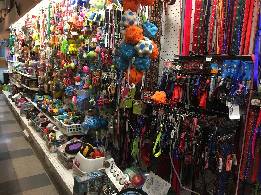Puppies Fish & Critters | 7019 120 St, Delta, BC V4E 2A9, Canada | Phone: (604) 590-3727