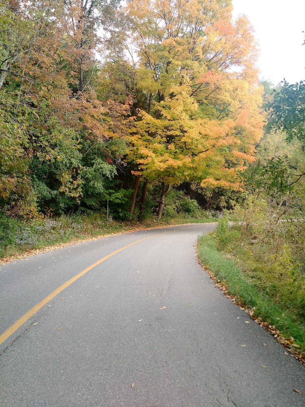 Edelweiss Park | 320 Glasgow Rd, Caledon, ON L7C 3L9, Canada | Phone: (905) 584-2272