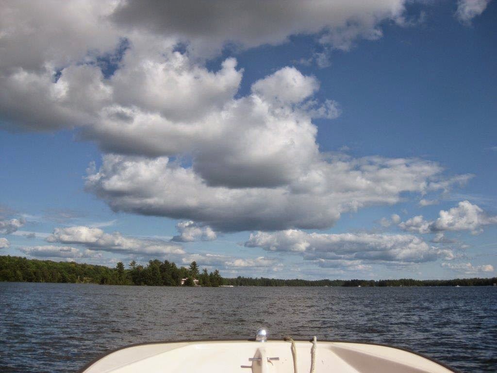 Mark Gidley, Forest Hill Real Estate Inc. Brokerage | 3125 Muskoka District Road 169, Bala, ON P0C 1A0, Canada | Phone: (705) 706-7065