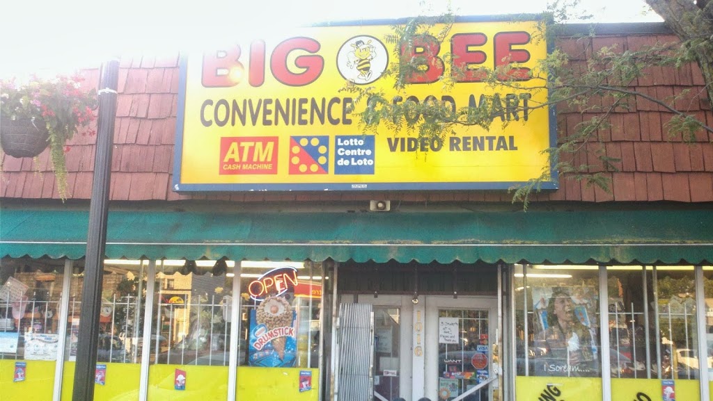 Big Bee Convenience | 4 Newton Ave, Hamilton, ON L8S 1V7, Canada | Phone: (905) 527-4662