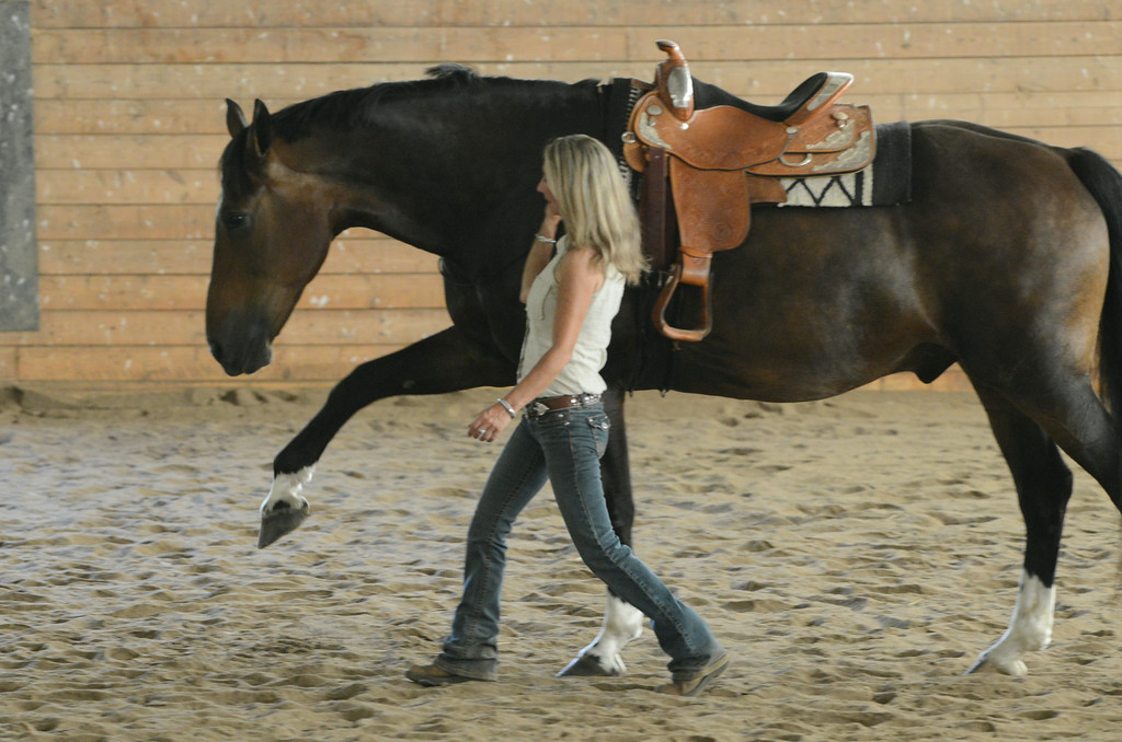 Natural Equine Connection | 594 Heddle Crescent, Newmarket, ON L3X 2J5, Canada | Phone: (416) 435-6651