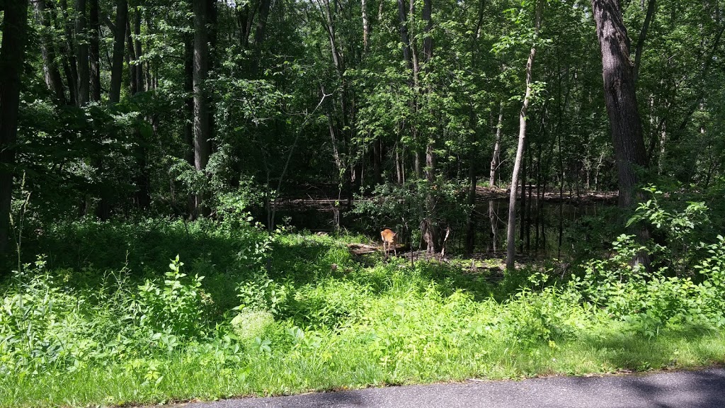 Parc de Lucerne | 57 Rue Carmen, Gatineau, QC J8T 2N7, Canada