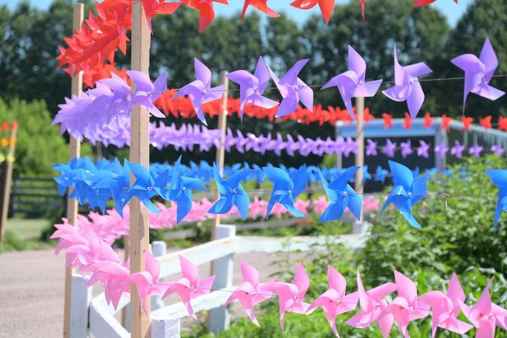 Pinwheel Farm PEI | 17208 All Weather Hwy, Milton Station, PE C1E 0W9, Canada | Phone: (782) 377-6714