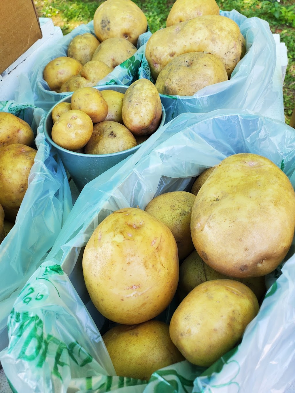 Harcliff Farms North | 2904 Peterborough County Rd 36, Buckhorn, ON K0L 1J0, Canada | Phone: (519) 996-3331