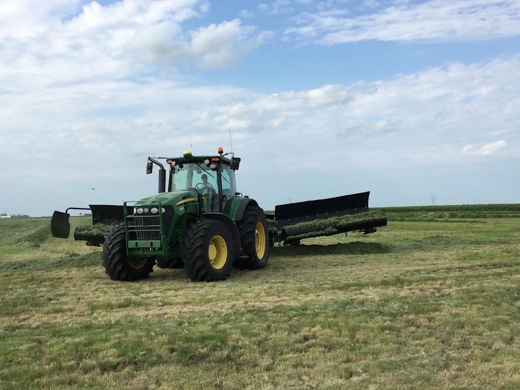 Boonstra Farms Ltd (Dairy Farm) | Rd 6w, MB R0H 0V0, Canada | Phone: (204) 322-5610