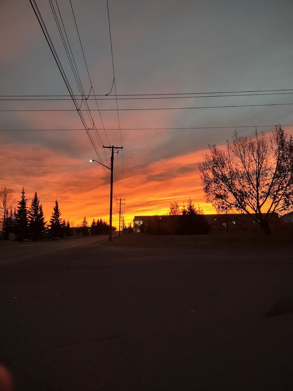 The Mustard Seed Shelter | 7025 44 St SE, Calgary, AB T2C 4E8, Canada | Phone: (403) 723-9422