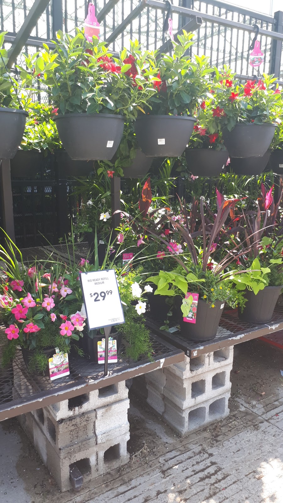 Lowes Garden Centre | 10111 Heart Lake Rd, Brampton, ON L6Z 0E4, Canada | Phone: (905) 843-4300