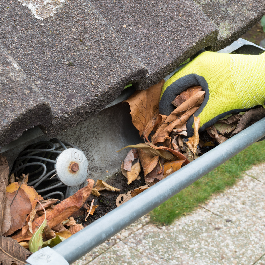 All Clear Windows & Gutters | 527 Malvern Crescent, Newmarket, ON L3Y 7L7, Canada | Phone: (289) 264-0923