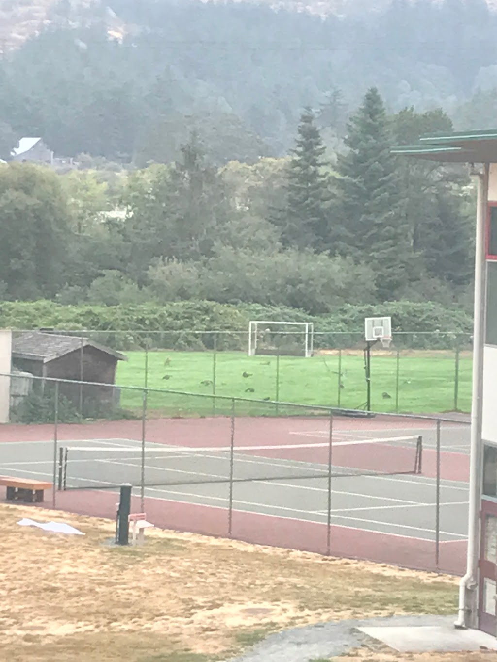 St Margarets School | 1080 Lucas Ave, Victoria, BC V8X 3P7, Canada | Phone: (250) 479-7171