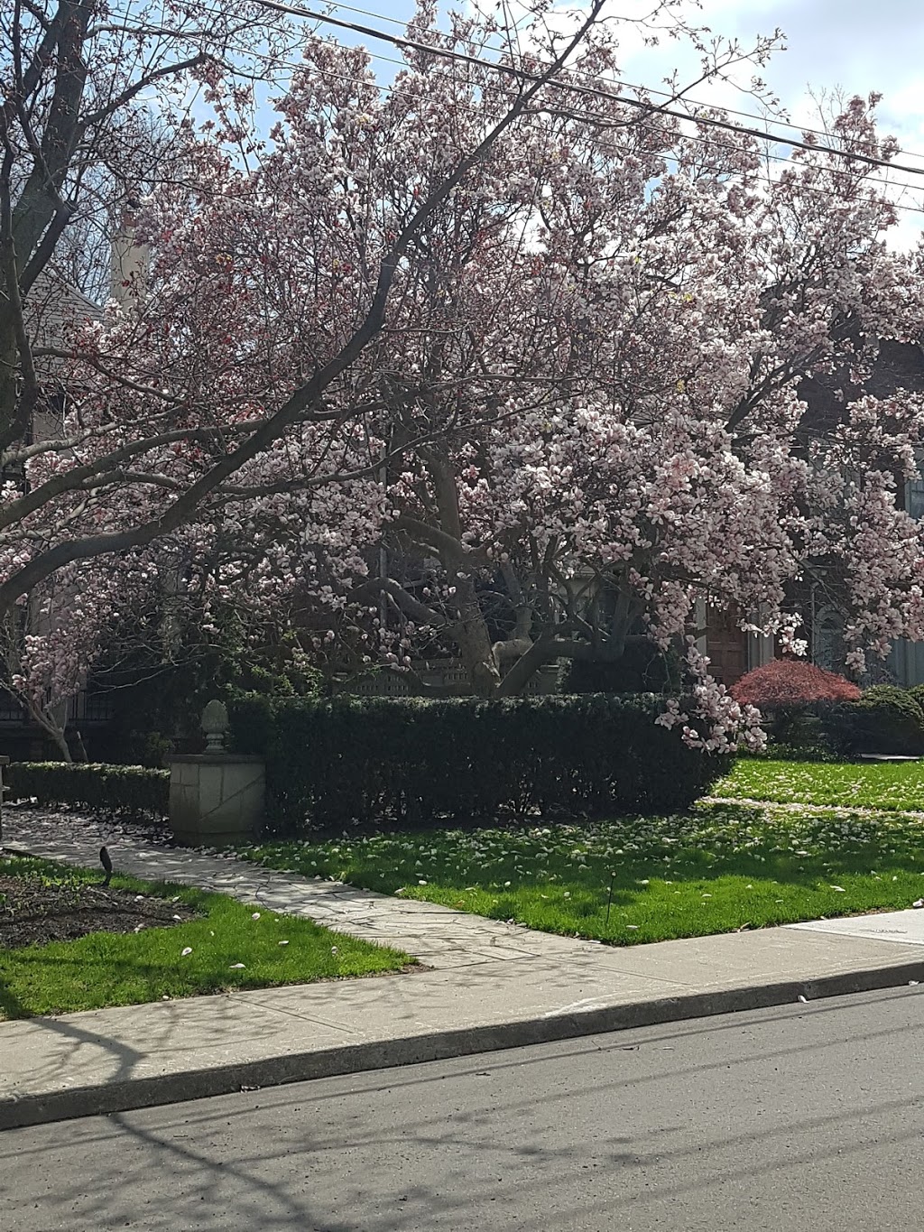 Dunvegan Parkette | 160 Dunvegan Rd, Toronto, ON M5P 2N8, Canada | Phone: (416) 338-4386