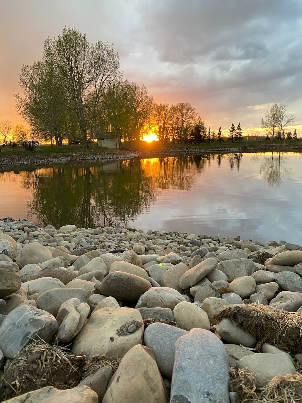 Carstairs Golf Club | 2 Highway 2A North, Carstairs, AB T0M 0N0, Canada | Phone: (403) 337-3382