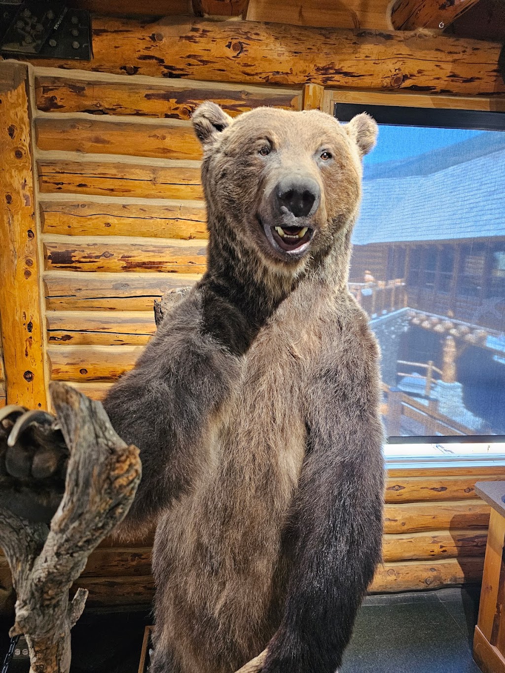 The Lodge of the Ten Peaks Café | 1 Whitehorn Rd, Lake Louise, AB T0L 1E0, Canada | Phone: (877) 956-8473