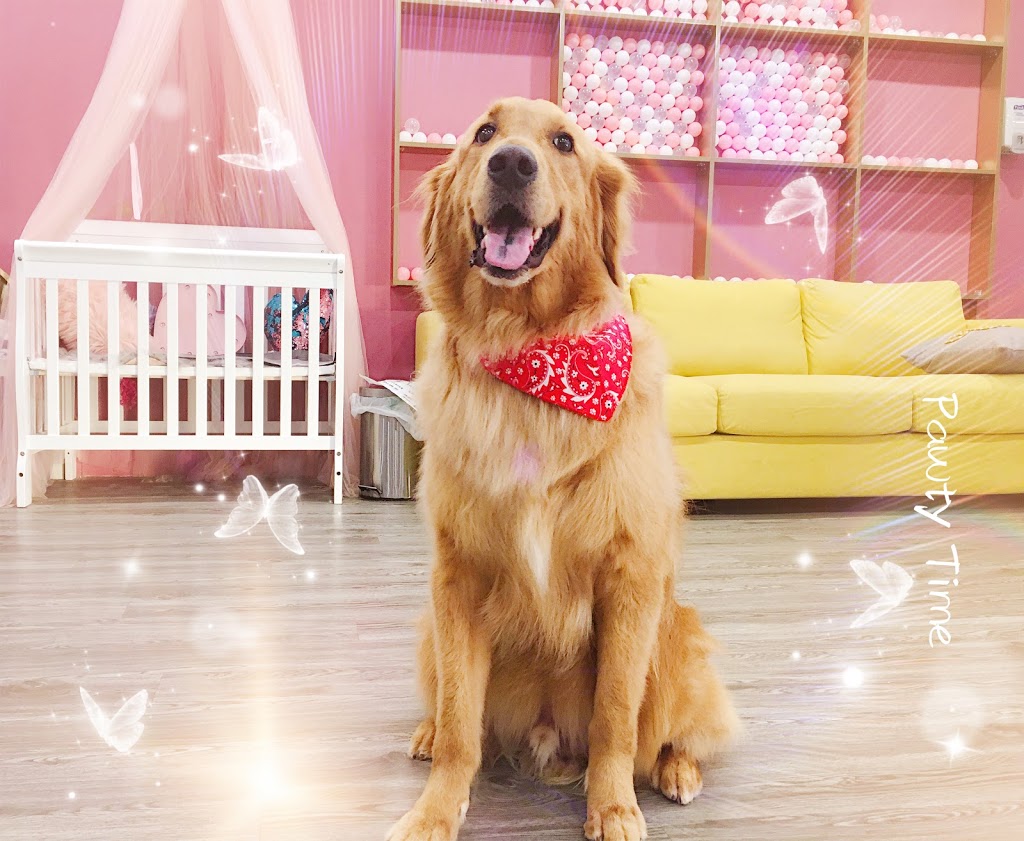 Pawty Time Pet Club | 4441 Hwy 7, Unionville, ON L3R 1M1, Canada | Phone: (905) 604-6797