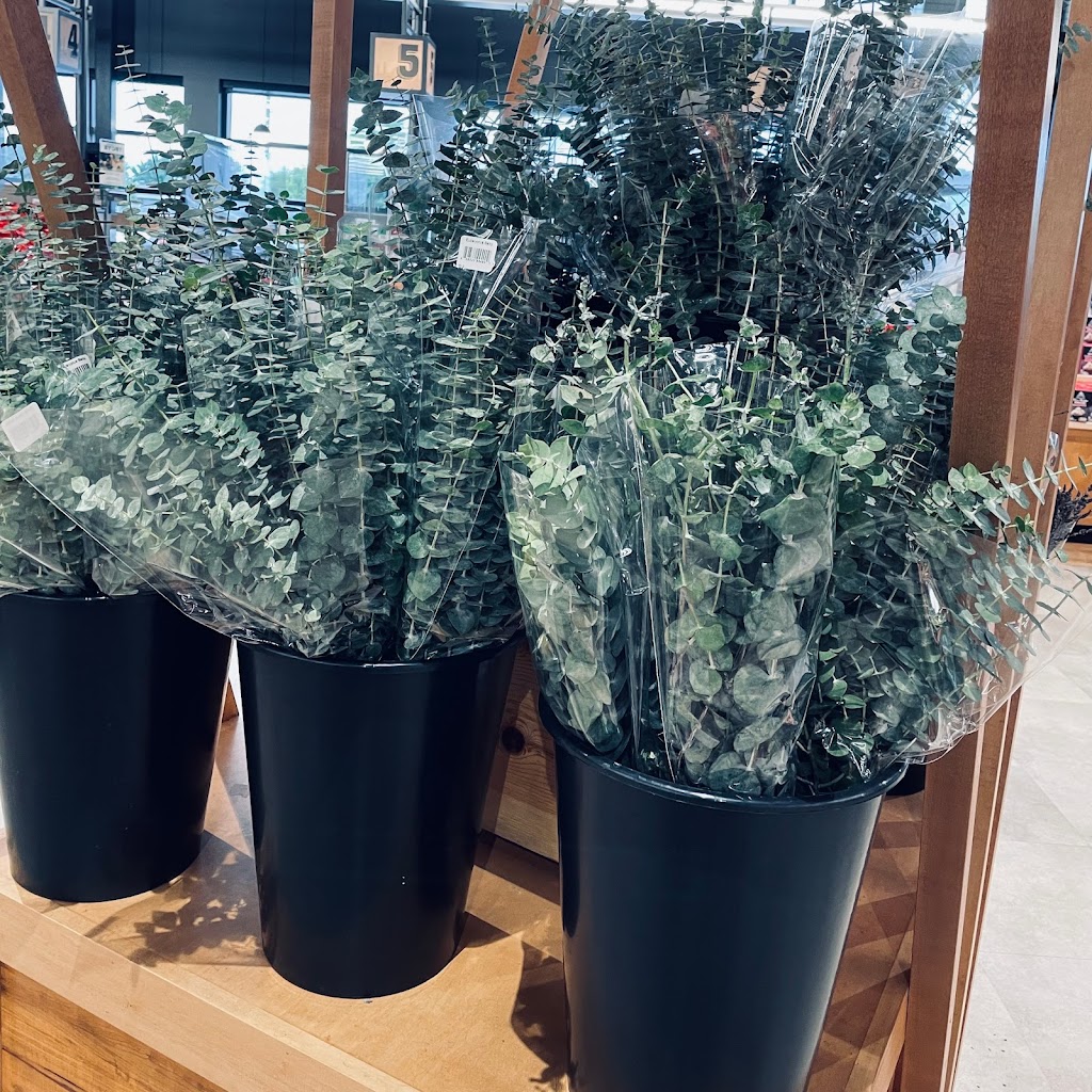 Farm Boy | 1581 Greenbank Rd, Nepean, ON K2J 4Y6, Canada | Phone: (613) 825-1810