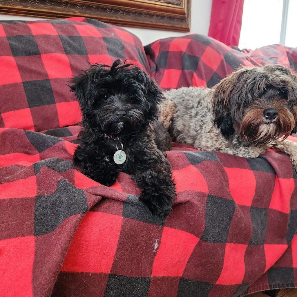 Le paradis du chien s.e.n.c. | 2240 Rang Fontarabie, Sainte-Ursule, QC J0K 3M0, Canada | Phone: (450) 835-7555