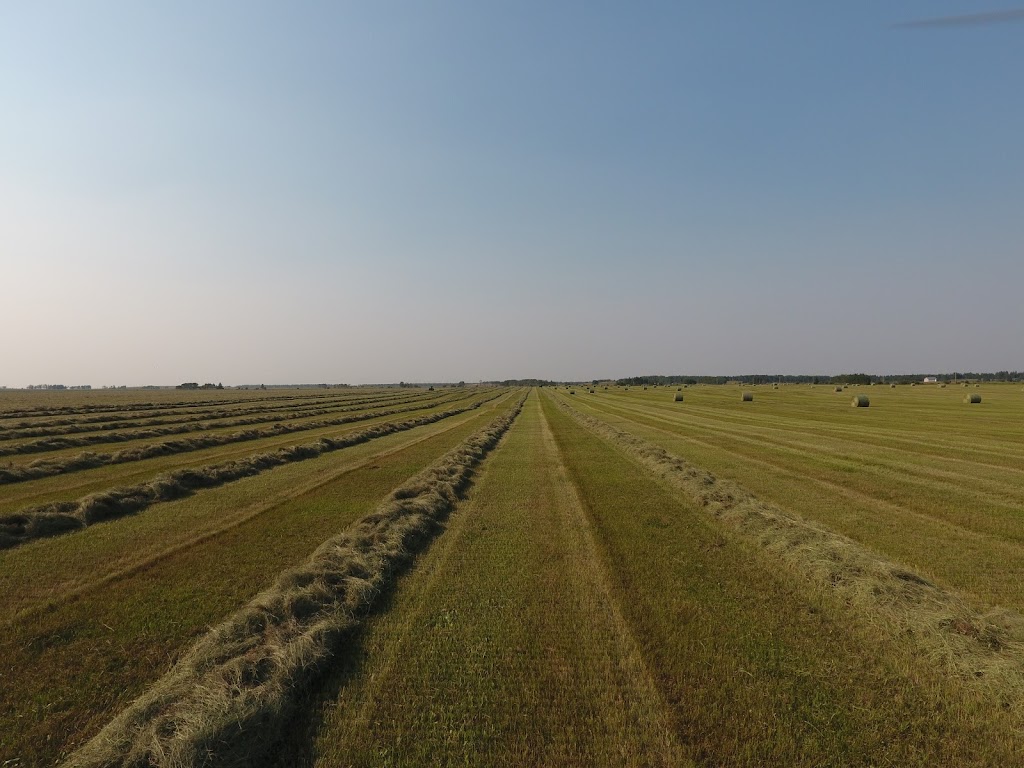 Hamilton Farms Inc | 274132 Range Rd 33, Rockyview County, AB T0M 1L0, Canada | Phone: (403) 932-5980