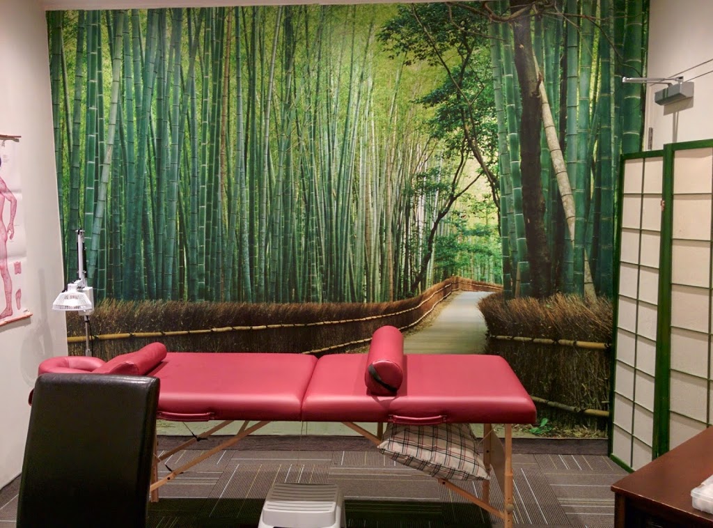 Acupuncture West Island | 15000 Boul de Pierrefonds suite 302, Pierrefonds, QC H9H 4G2, Canada | Phone: (514) 742-6739