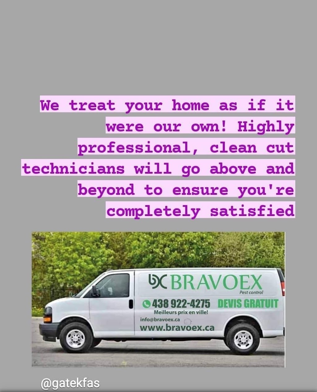 BRAVOEX Pest control | 2583 Carling Ave, Ottawa, ON K2B 7H7, Canada | Phone: (438) 922-4275
