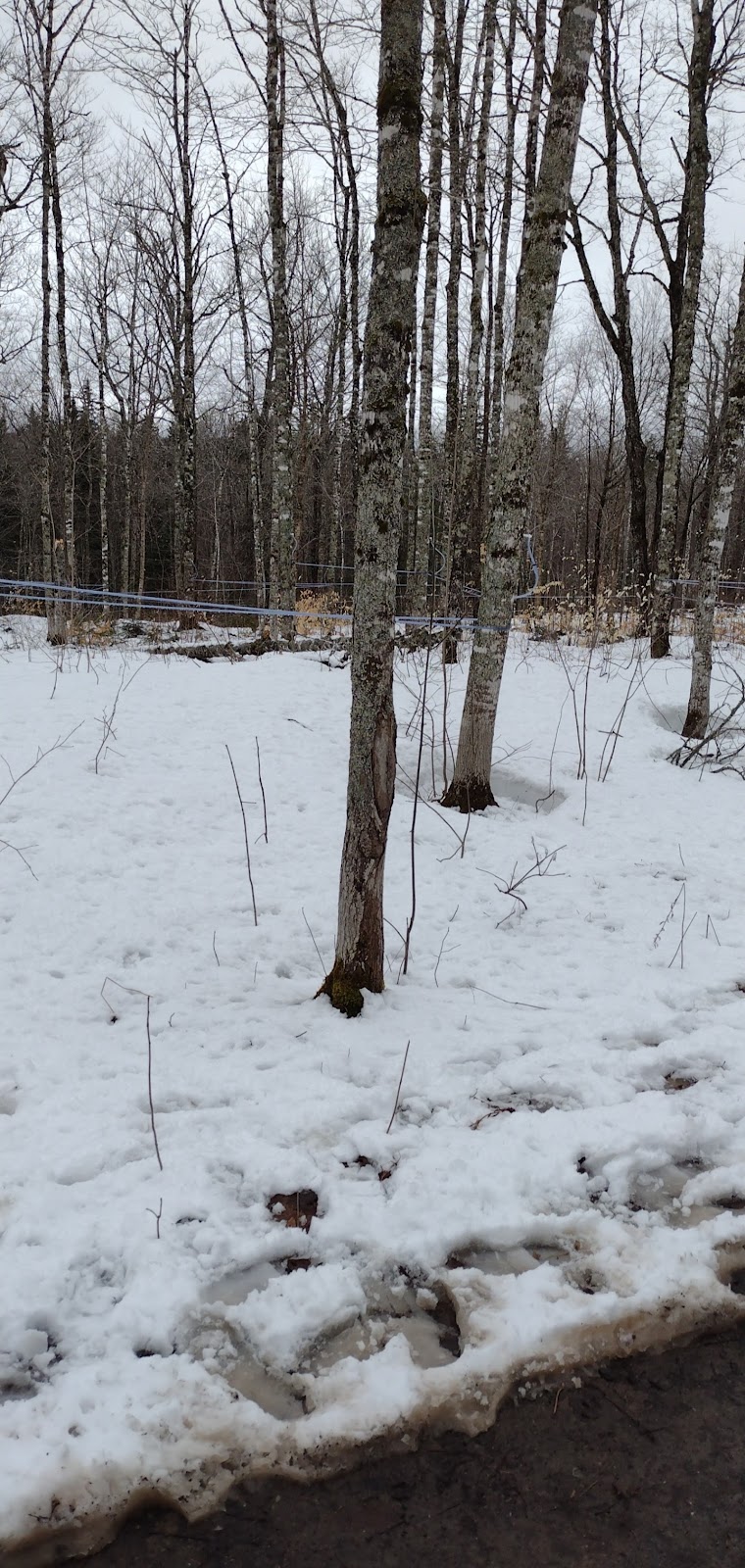 Sugar Shack Construction Inc | 153 Ruelle MacAleese Ln, Moncton, NB E1A 3M2, Canada | Phone: (506) 859-8686