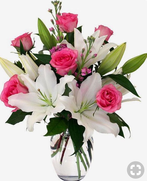 Buds to Blossoms Floral Boutique | 115 Victoria St E, Amherst, NS B4H 1X9, Canada | Phone: (902) 660-7836