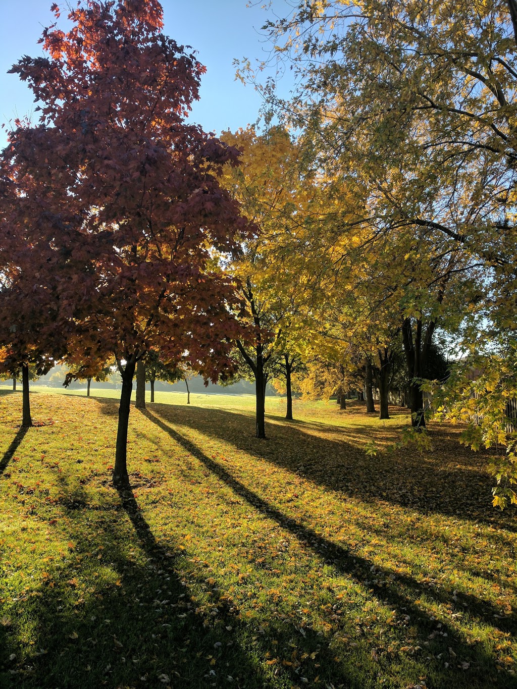 Rayfield Park | 530 Rathburn Rd E, Mississauga, ON L4Z 1E4, Canada