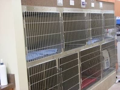 Erin Folk Animal Hospital | 4099 Erin Mills Pkwy #11, Mississauga, ON L5L 3P9, Canada | Phone: (905) 569-3647