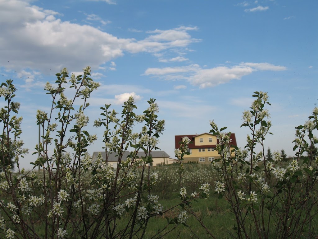 Prairie Berry YYC | 225036 RR 282, AB T1X 0H9, Canada | Phone: (403) 819-4664