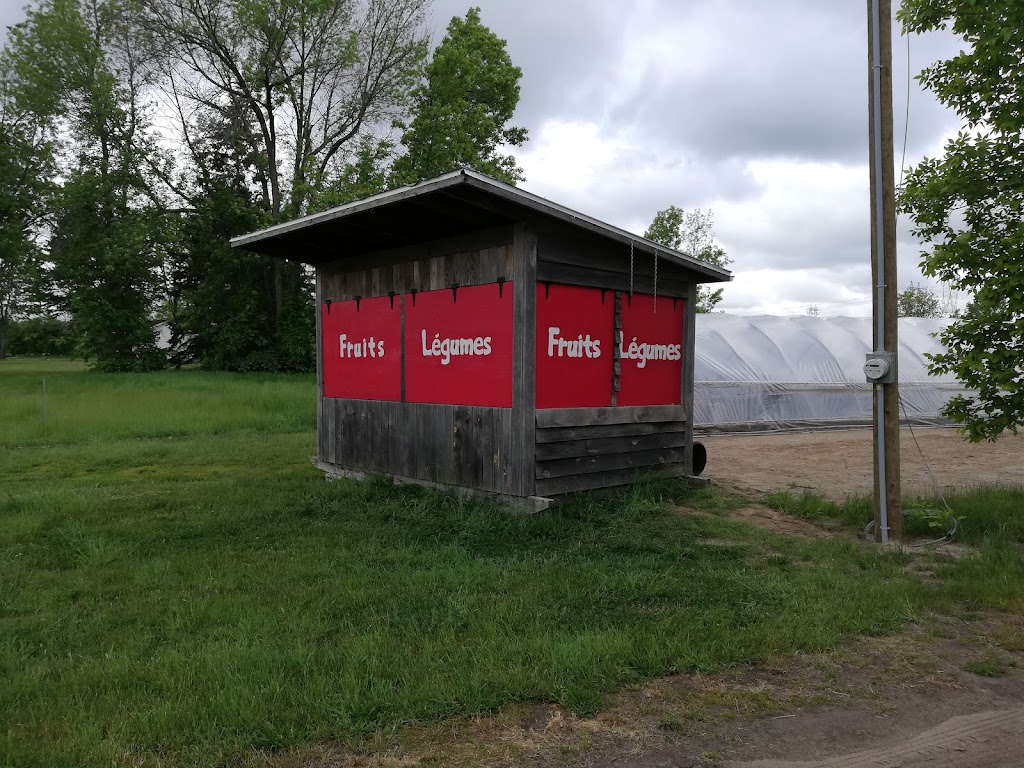 Le Maraîcher du Village | 17645 Chem. Saint-Roch, Sorel-Tracy, QC J3R 0J3, Canada | Phone: (514) 815-3381