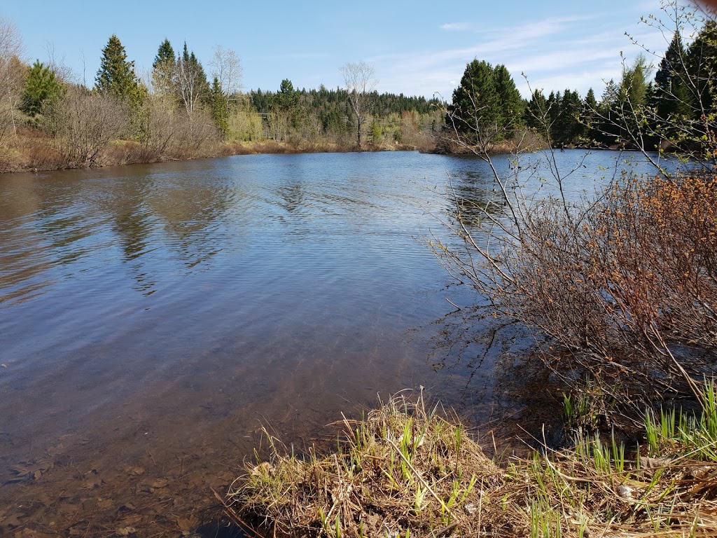 Major Beach - City of Sainte-Agathe-des-Monts | 1 Chemin du Lac des Sables, Sainte-Agathe-des-Monts, QC J8C 2Z7, Canada | Phone: (819) 326-0457