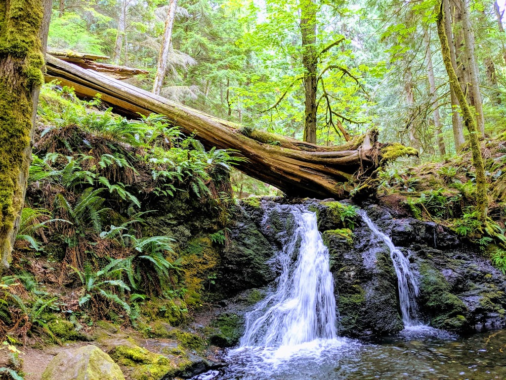 Moran State Park | 3572 Olga Rd, Olga, WA 98279, USA | Phone: (360) 376-2326