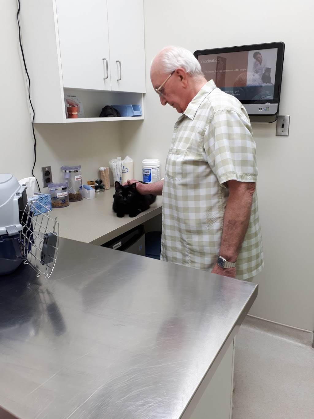 Henderson Animal Hospital | 1434 Henderson Hwy, Winnipeg, MB R2G 1N4, Canada | Phone: (204) 339-9295