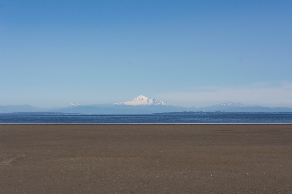 Fraser Elliott Group-The Firm Real Estate Services | 1559 56 St, Delta, BC V4L 2A9, Canada | Phone: (604) 728-2845