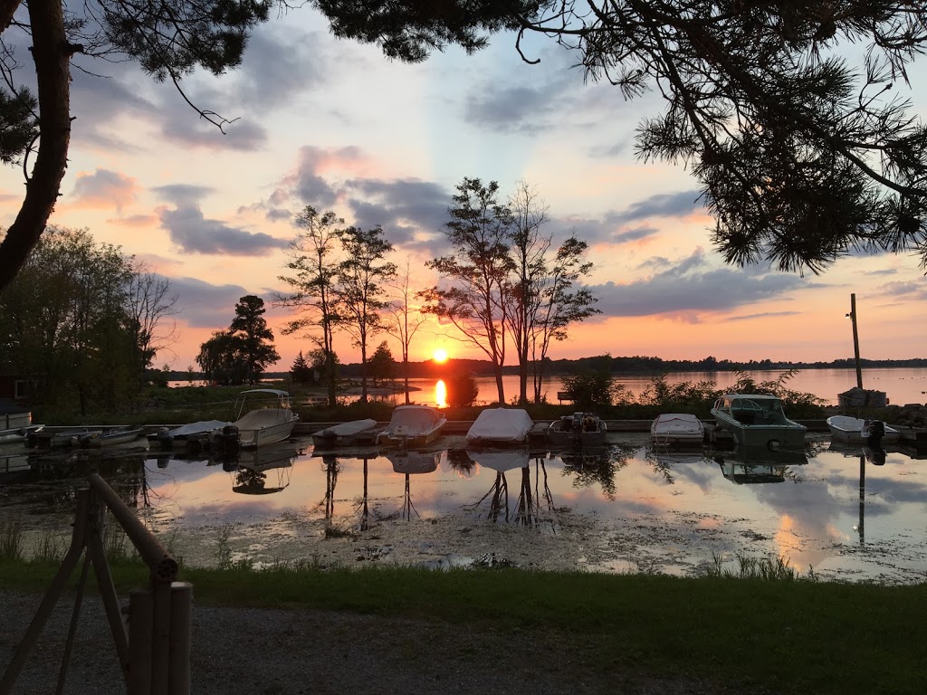 Silverstone family campground | 156 Gerhardt Rd, Waubaushene, ON L0K 2C0, Canada | Phone: (416) 528-5918