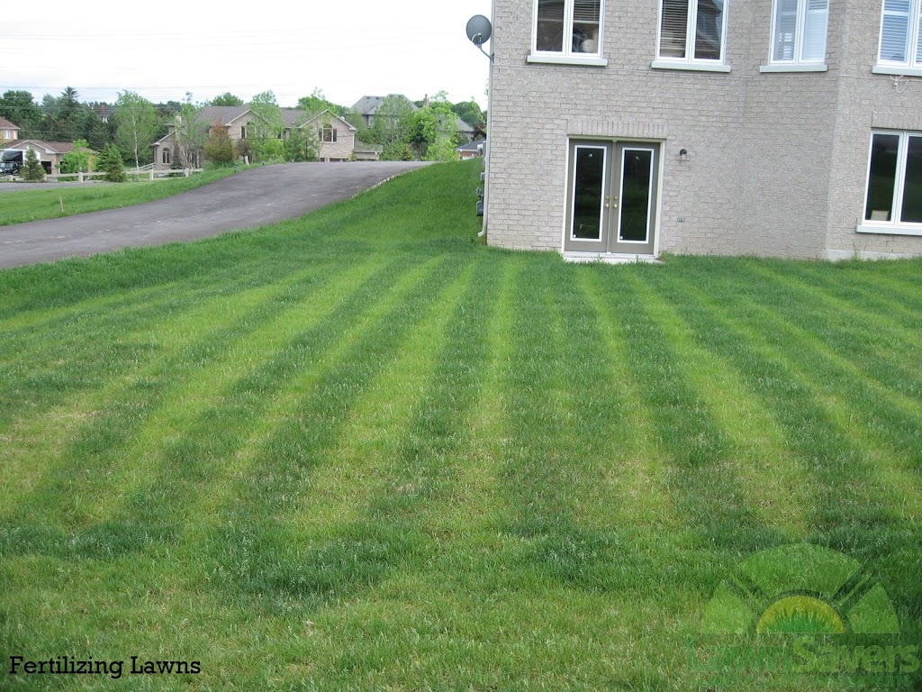 LawnSavers Plant Health Care Inc. | 160 Cidermill Ave Unit 14, Concord, ON L4K 4K5, Canada | Phone: (905) 707-9994