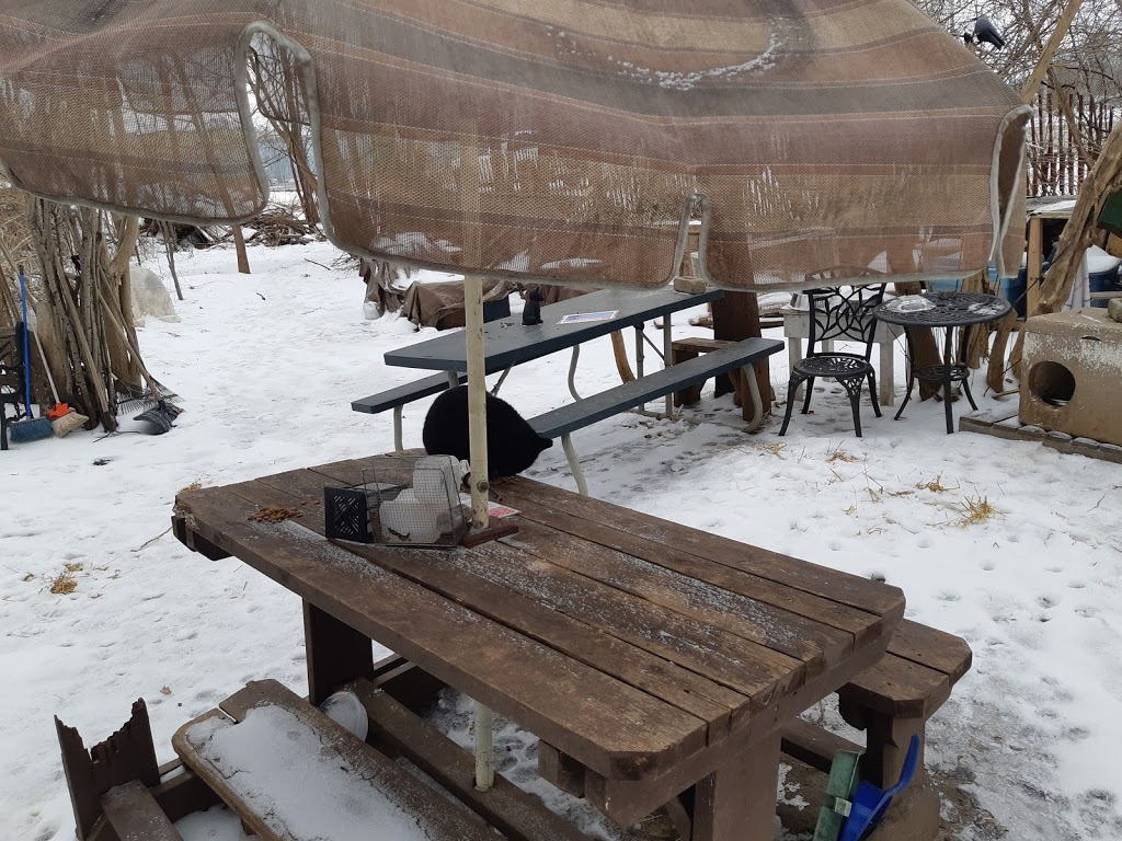 Lansdowne Park | 150 Burwell St, Brantford, ON N3T 4V4, Canada | Phone: (519) 756-1500