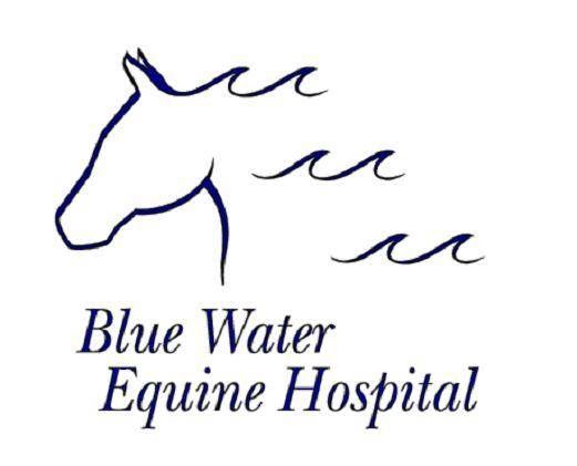 Blue Water Equine Hospital | 3996 Keegan Rd, Emmett, MI 48022, USA | Phone: (810) 384-1100